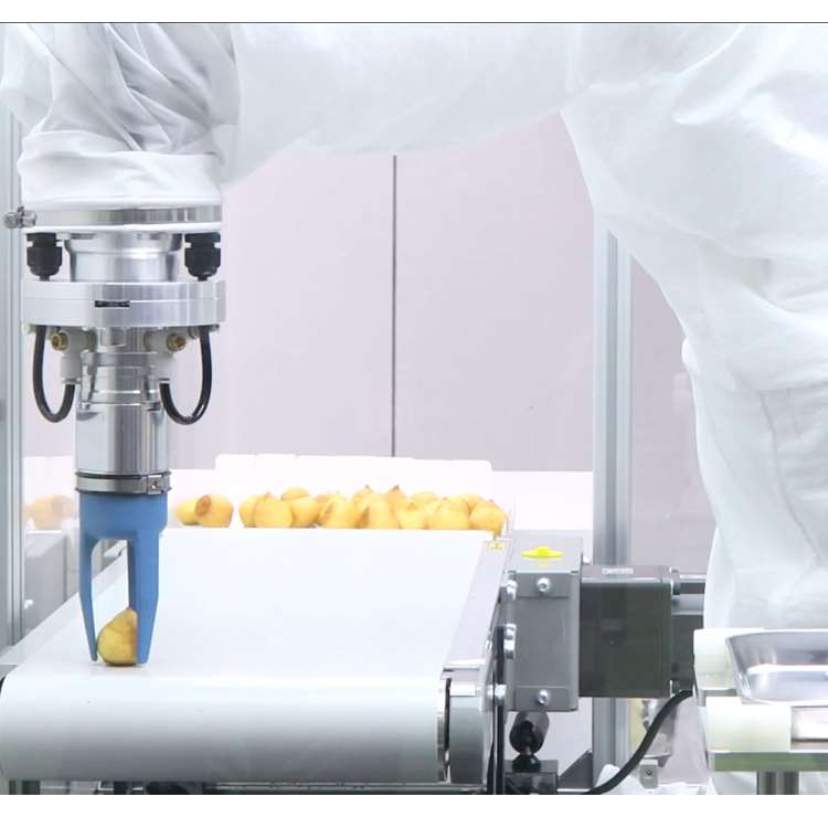 Braço Robótico CNC de 6 Eixos  - Robot Gripper avaliação e preço